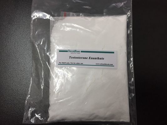 China Bodybuilding Testosterone Enanthate White Powder And Finished Liquid supplier