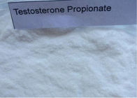 USP Standard Test Propionate steroid Testosterone Propionate CAS 57-85-2