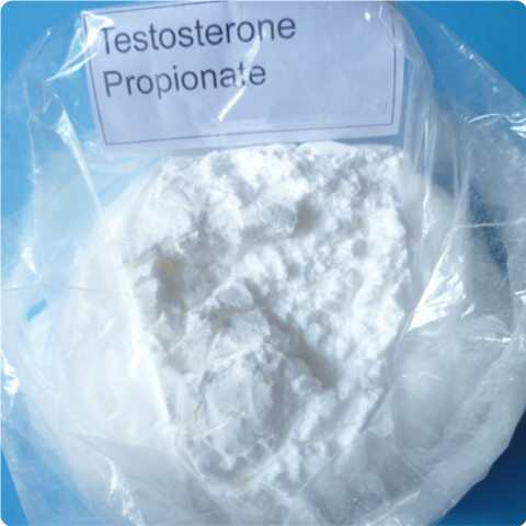 TP Testosterone propionate white steroids powder USP / BP/ ISO9001 Standard