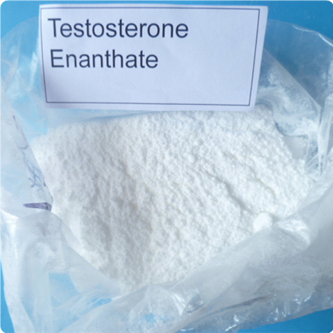 Testosterone Enanthate Raw Steroid Powders White To Yellowish - White Crystalline