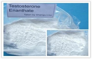 Testosterone Enanthate Muscle Building Steroids Molecular Formula C26H40O3 Assay 98% min